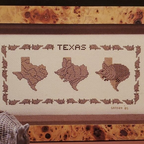 vtg 1985 state of Texas TX armadillo cross stitch pattern HTF OOP - Picture 1 of 6